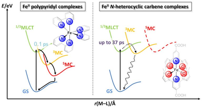 images large ar 2016 00186n 0007